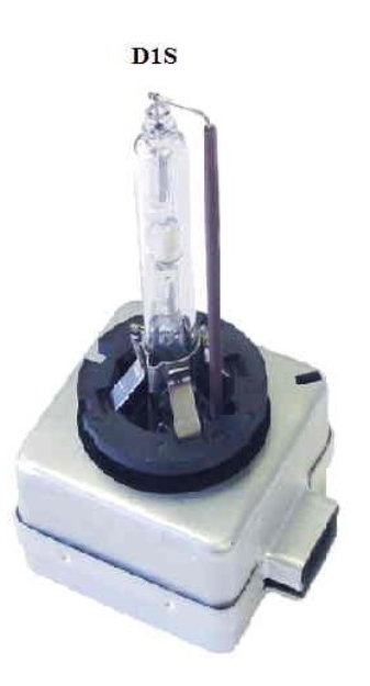 Picture of D1 Bulb