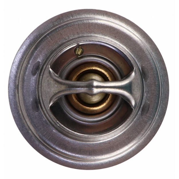 Picture of Thermostat, 170 Degree