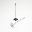 Picture of Exhaust Valve