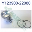 Picture of Piston & Ring Kit, Standard