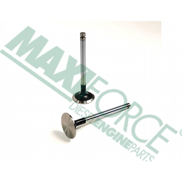 Picture of Exhaust Valve