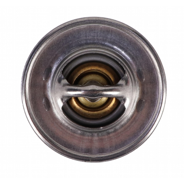 Picture of Thermostat, 180 Degree