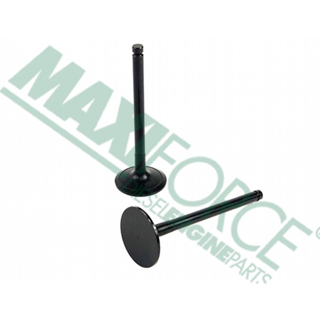 Picture of Intake Valve