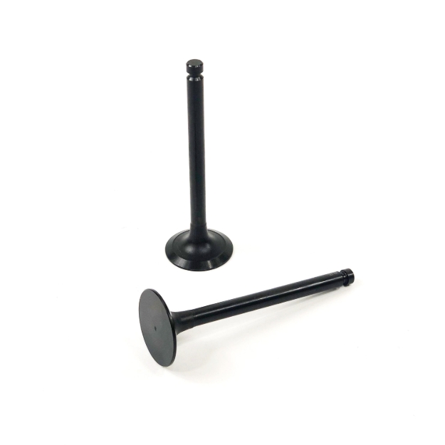 Picture of Intake Valve