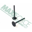 Picture of Exhaust Valve