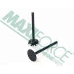 Picture of Exhaust Valve