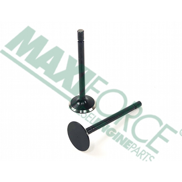 Picture of Exhaust Valve