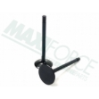 Picture of Intake Valve