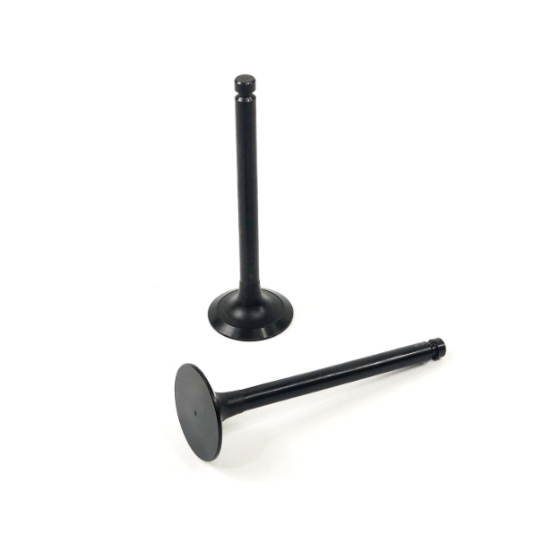 Picture of Intake Valve