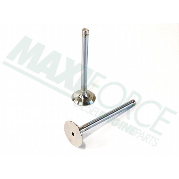 Picture of Exhaust Valve, 45 Degree