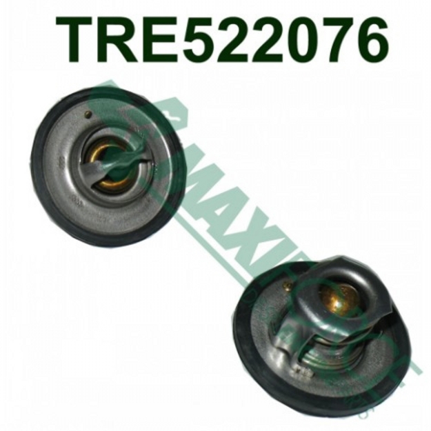 Picture of Thermostat, 180 Degree