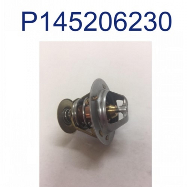 Picture of Thermostat, 180 Degree