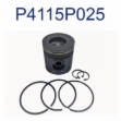 Picture of Piston & Ring Kit