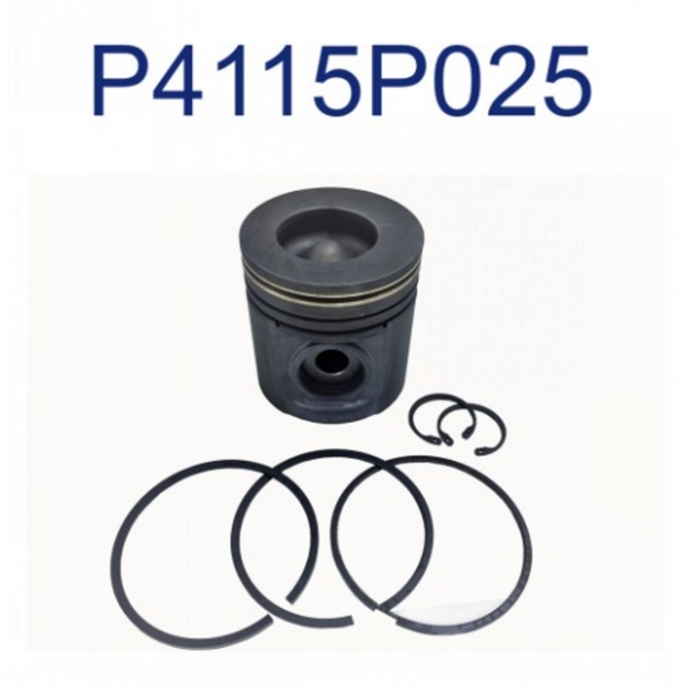 Picture of Piston & Ring Kit