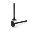 Picture of Exhaust Valve