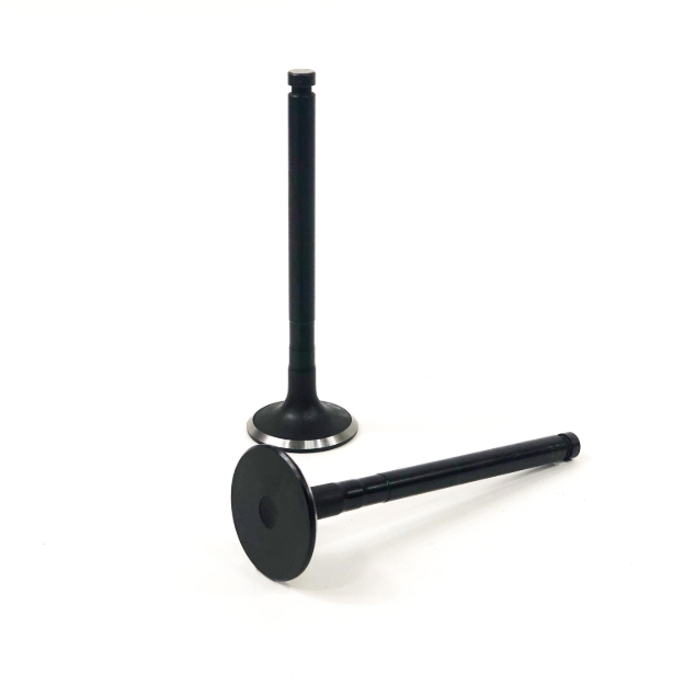 Picture of Exhaust Valve