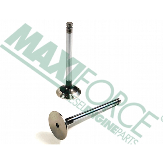 Picture of Intake Valve, 45 Degree