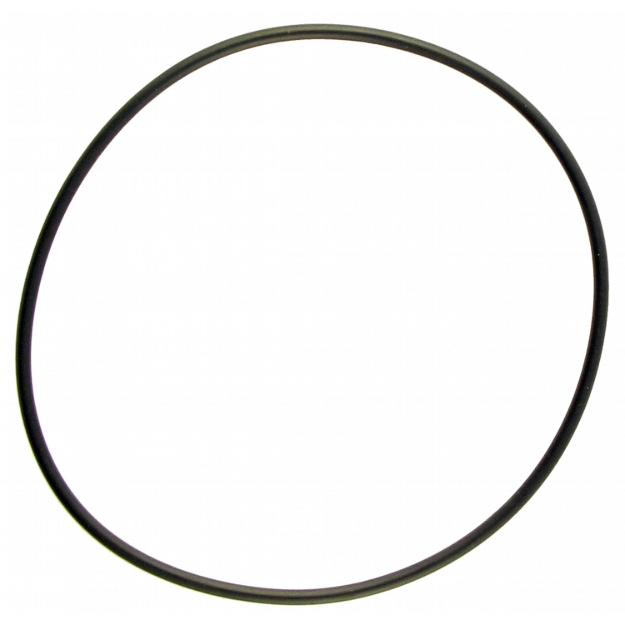 Picture of IPTO Bearing Cage O-Ring