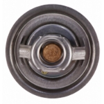 Picture of Thermostat, 170 Degree