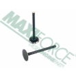 Picture of Exhaust Valve