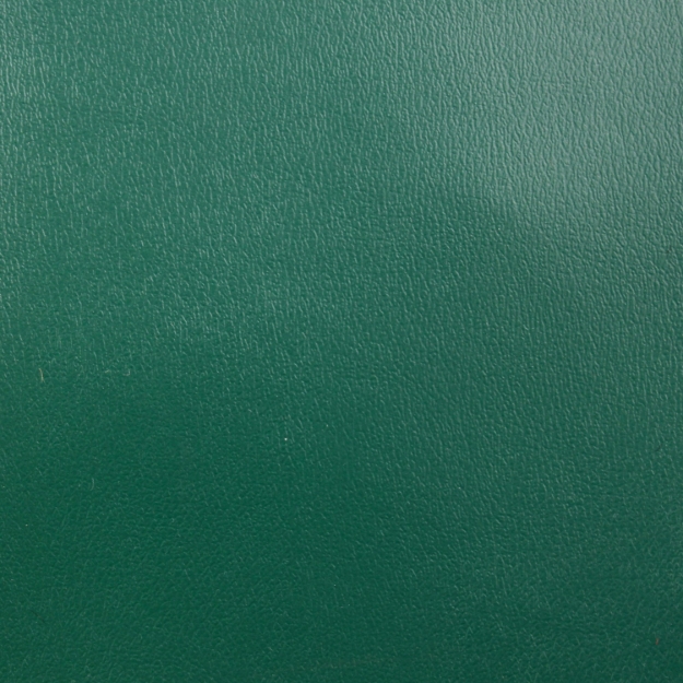 Picture of Drawstring Cover for Oliver & White, Green & White Vinyl