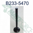 Picture of Exhaust Valve