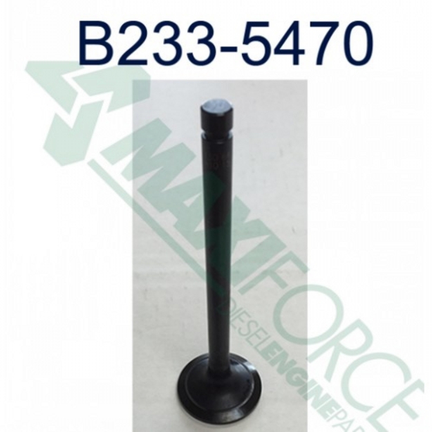 Picture of Exhaust Valve