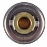 Picture of Thermostat, 180 Degree