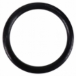 Picture of O-Ring