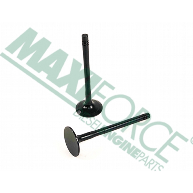 Picture of Exhaust Valve