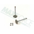 Picture of Intake Valve Kit