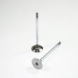 Picture of Intake Valve