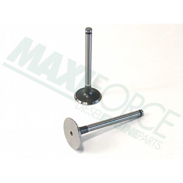 Picture of Intake Valve, 45 Degree