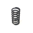 Picture of Inner Valve Spring