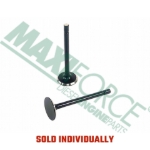 Picture of Exhaust Valve