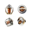 Picture of Thermostat, 160 Degree
