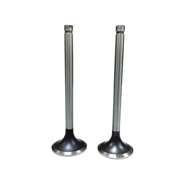 Picture of Intake Valve