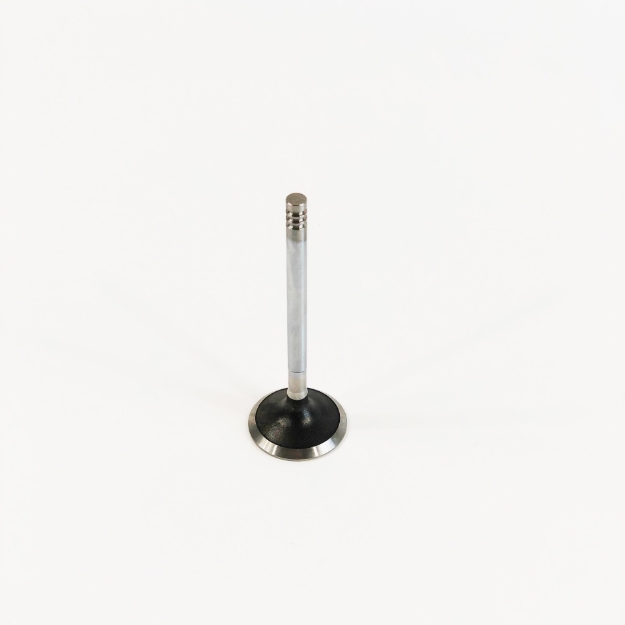 Picture of Exhaust Valve