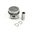 Picture of Piston & Ring Kit, Std.