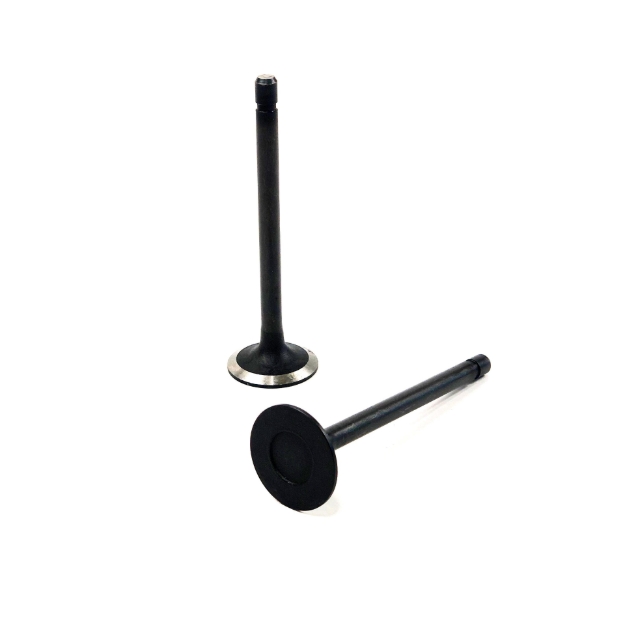 Picture of Intake Valve