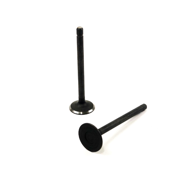 Picture of Exhaust Valve