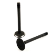 Picture of Intake Valve