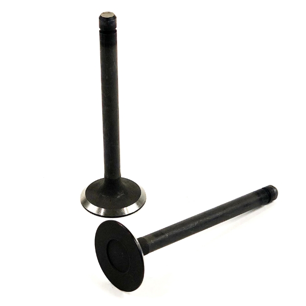 Picture of Intake Valve