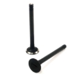 Picture of Exhaust Valve