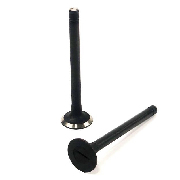 Picture of Exhaust Valve