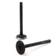 Picture of Intake Valve