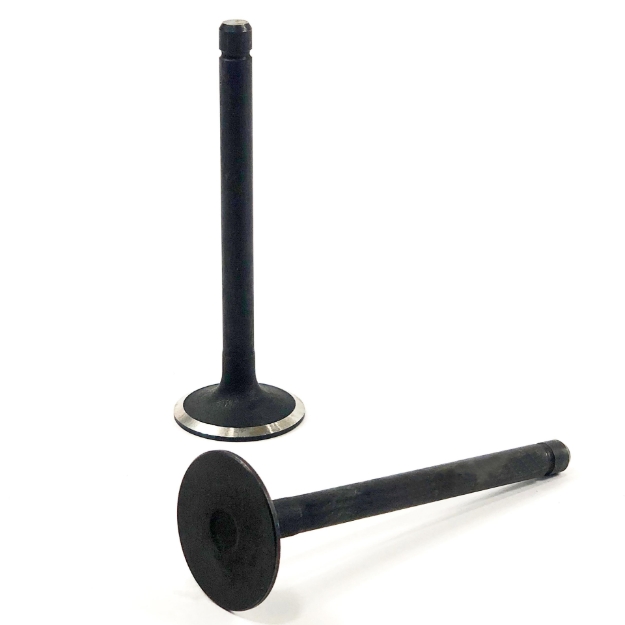 Picture of Intake Valve