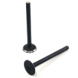 Picture of Exhaust Valve