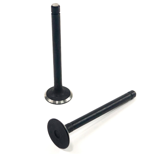 Picture of Exhaust Valve
