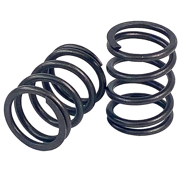 Picture of Valve Spring